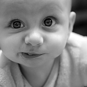 Meet your Posher, Gahaim